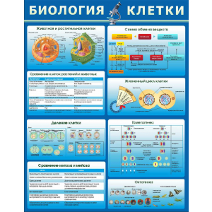 Биология клетки