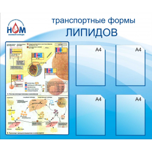 Транспортные формы липидов