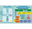 stend_po_khimii-уголок химии классические неорганические вещества 1500х850мм